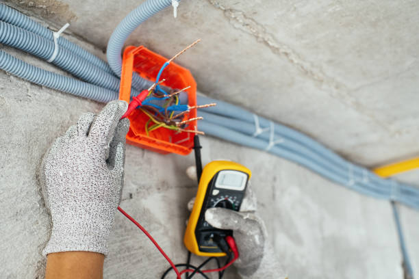 Best Electrical Repair Services  in Pierce, CO